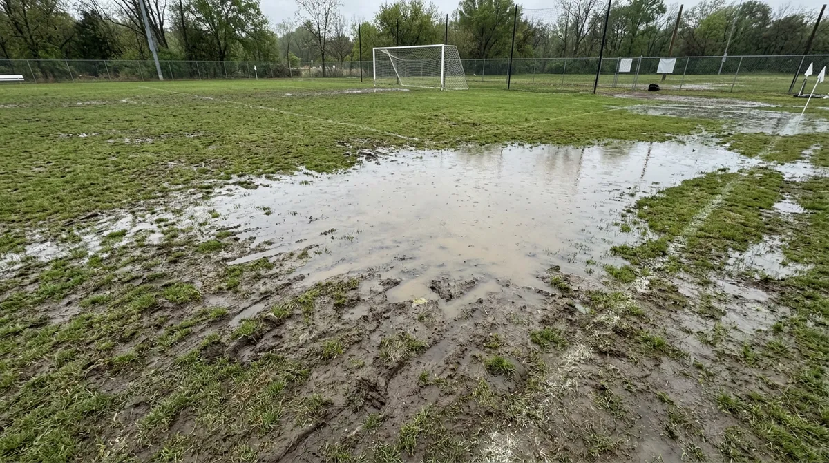 sports turf management